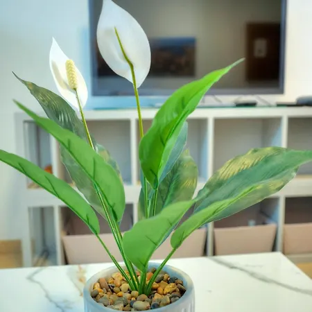 3bedroom House With Yard And Roof Terrace Czer1-1 דירה *